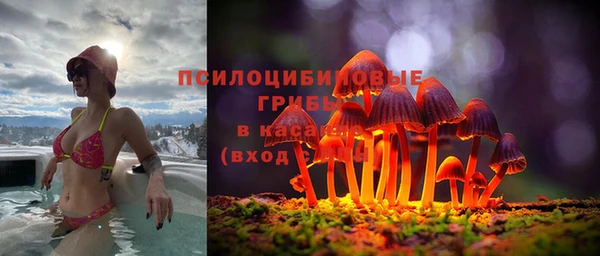 тгк Волосово