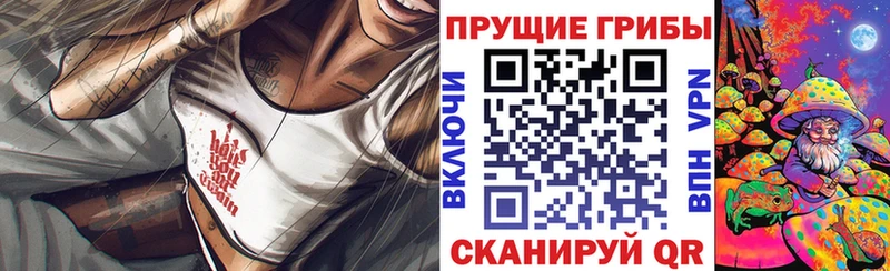 Купить закладки  Пущино  Псилоцибиновые грибы Psilocybe 
